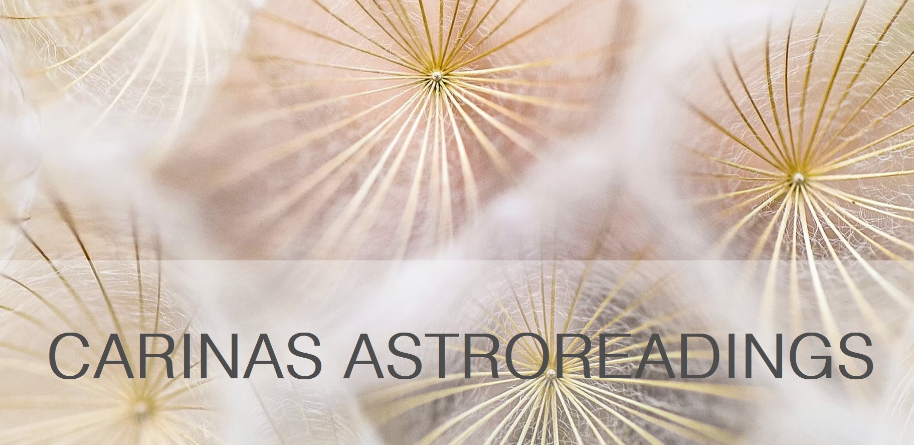 Logo Carina Stein Astroreadings